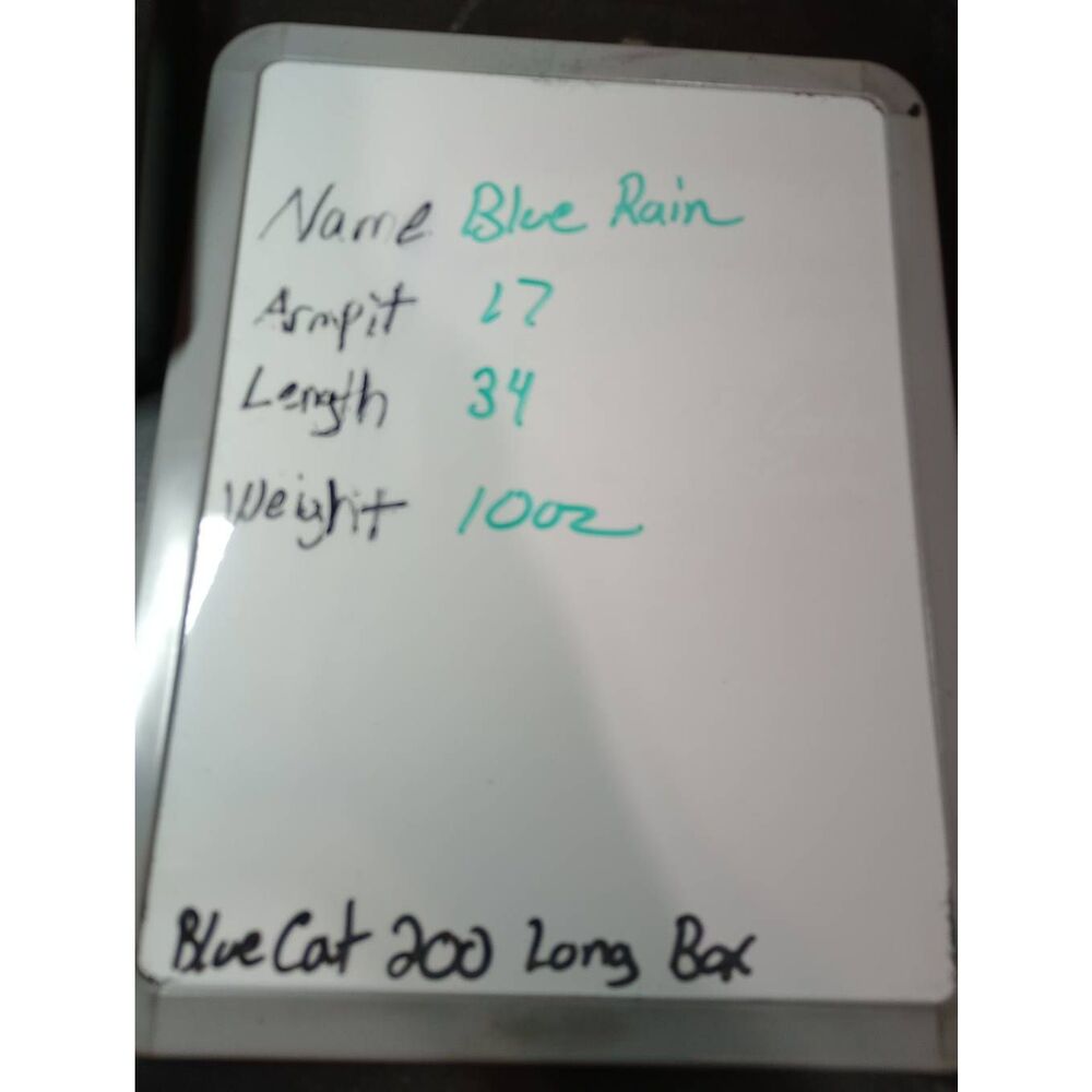 Blue‎ Rain Olive Green Floral Halter Keyhole Mini Dress Womens Small 26Q207TL5D - Picture 8 of 8